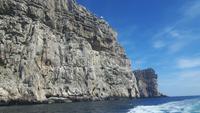 Alghero (Bootsfahrt zur Neptungrotte - Capo Caccia)