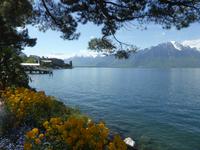 Montreux - Blumenpracht an der Promenade