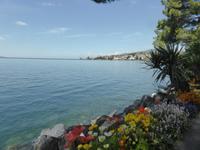 Montreux - Blumenpracht an der Promenade