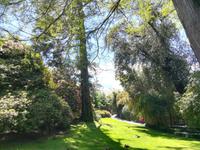 Prachtvolle Gartenanlage.