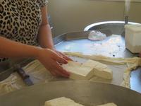 Ziegenfarm von Loulla - Ziegenkäseherstellung