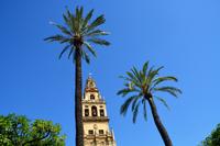 Mezquita