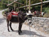 DSCN3058  Weg zur Zeus Höhle