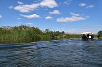 137 Villa Neretva, Bootsfahrt im Neretvadelta