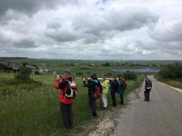 Wenn einer ein Foto macht, wollen alle anderen auch :-)