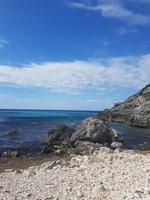 Neptun-Gras wird angespült