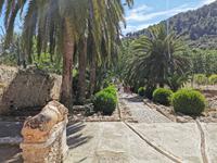 Jardins d’Alfabia