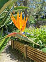 Botanische Garten in Sóller 