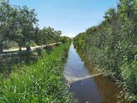 Naturschutzgebiet von S‘Albufera 