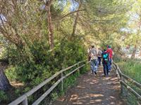 Naturschutzgebiet von S‘Albufera 