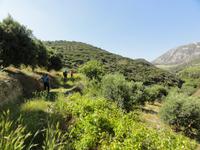 Knosiano Schlucht