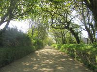 Wir spazieren auf wunderschönen Wegen in wunderschöner Ruhe -  autofrei!