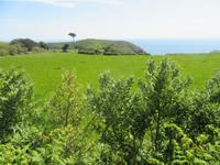 wunderschöne Wanderung entlang der Küste von Sark