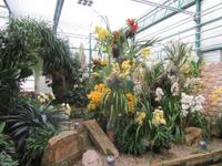 Jersey - Orchid Foundation