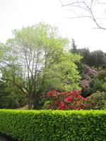 Spaziergang beim Hotel Chateau La Chair