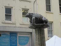 und noch ein Tier - die Jersey Kröte