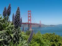 Golden Gate Bridge, San Francisco