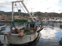 010_12.05.2019 am Hafen von Acciaroli