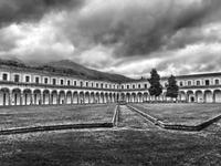 059_16.05.2019 Padula