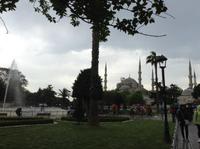 Blick zur blauen Moschee durch die Grünanlagen