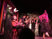 Flamenco im Corral La Morreria 