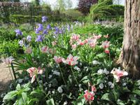 Giverny- Garten von Monet