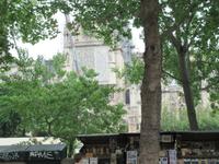 Paris- die Überreste der Muttergottes- Notre-Dame