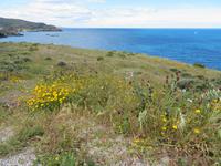 Cote Vermeille
