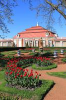 Parkanlage vor dem Schlösschen Monplaisier