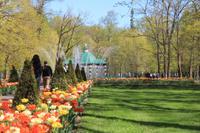 Im Park von Peterhof