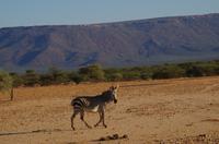 Okanjati Game Reserve