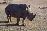 Okanjati Game Reserve