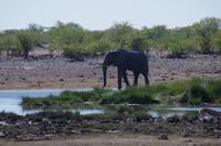 Etosha Nationalpark