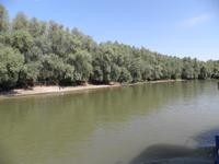 Im Donaudelta