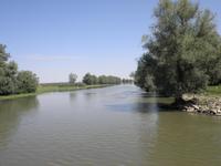 Donaudelta