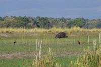 Bootsfahrt auf dem Kavango