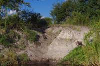 Bootsfahrt auf dem Kwando - HippoHighWay