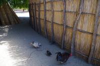 Namibia - ein richtiges Dorf