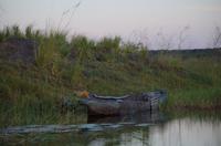 Bootsfahrt auf dem Chobe
