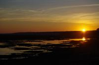 Botswana - Pirschfahrt im Chobe Nationalpark - Sonnenaufgang