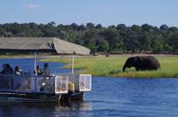 Bootsfahrt auf dem Chobe