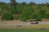 Bootsfahrt auf dem Chobe 