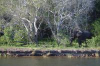Simbabwe - Bootsfahrt auf dem Sambesi