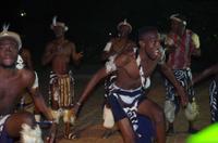 A Zambesi River Lodge - Abendshow