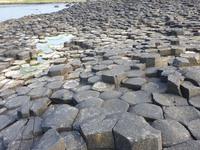 Eberhardt-Inklusiv-Ausflug mit Giant´s Causeway, Damm des Riesen in Nordirland (35)