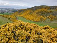 Stadtrundfahrt nach Edinburgh auf eigene Faust (48)