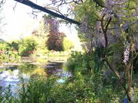 Giverny- Garten von Monet