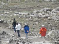 Alle hinter Berglind her