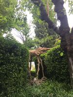 Gartenanlage im Gala Museum