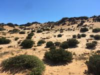 Wanderung von Hafen zu Hafen